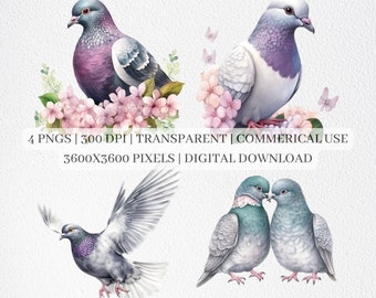 Cute Pigeon Clipart, Penguin PNG Files For Sublimation, Bird And Flowers Clip Art, Birds Print, Printable Wall Art, Commercial Use