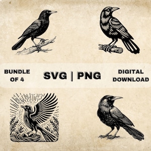 Quiscale SVG Bundle, clipart oiseau, illustration vectorielle sur le thème quiscale dessiné à la main, fichiers PNG pour gravure laser & artisanat