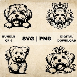 Maltese SVG Bundle, Maltese Clipart, Hand Drawn Dog Theme Vector Illustration, SVG Files For Laser Engraving & Craft