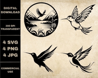 Paquete SVG de colibrí, PNG, imágenes prediseñadas de colibrí, ilustración vectorial de colibríes dibujados a mano, archivos SVG para grabado láser