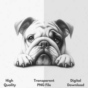Bulldog Peek PNG Sublimation File For Shirt & Mug Sketch Drawing Graphic, Digital Download
