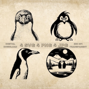 Penguin SVG Bundle, PNG, Cute Penguin Clipart, Hand Drawn Penguins Vector Illustration, SVG Files For Laser Engraving