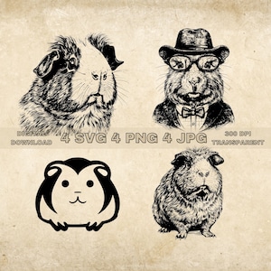 Guinea Pig SVG Bundle, PNG, Guinea Pig Clipart, Hand Drawn Guinea Vector Illustration, SVG Files For Laser Engraving