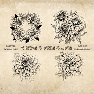 Dahlia Flower SVG Bundle, PNG, Dahlia Flower Clipart, Hand Drawn Dahlias Vector Graphic Illustration, SVG Files For Laser Engraving