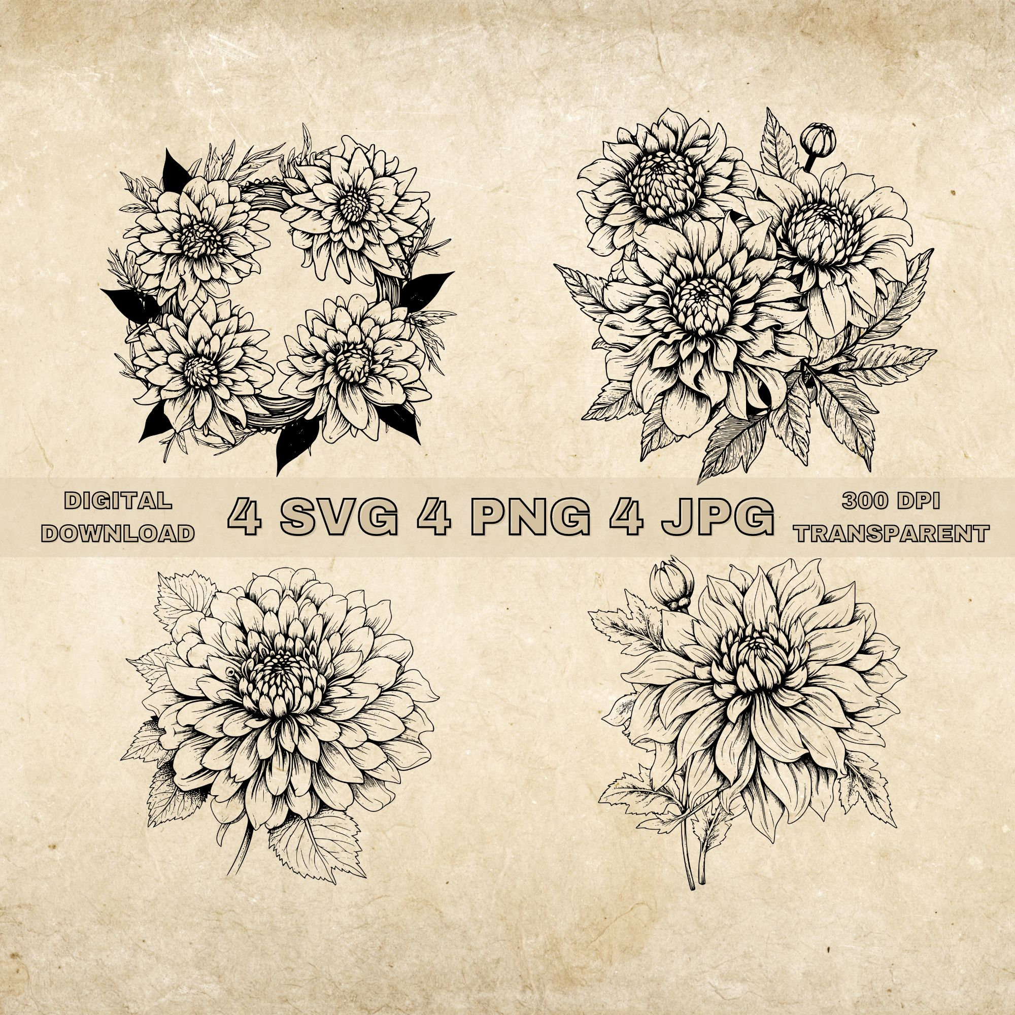 Dahlia Flower SVG Bundle, PNG, Dahlia Flower Clipart, Hand Drawn