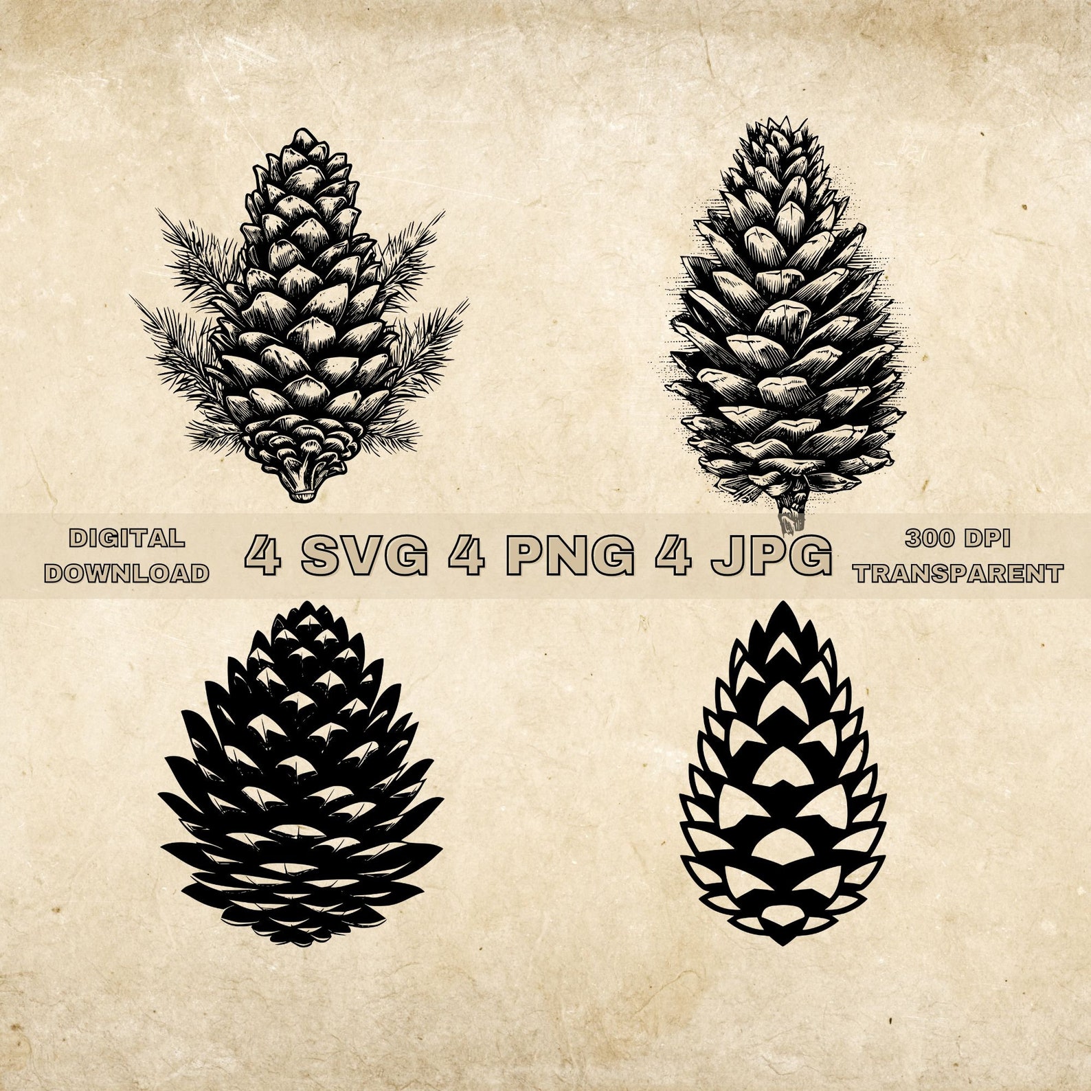 Pinecone SVG Bundle, PNG, Pinecone Clipart, Hand Drawn Pinecones Vector ...