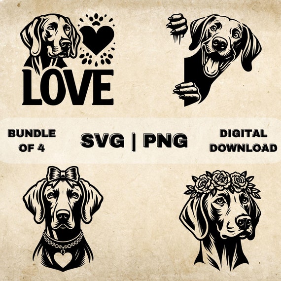ワイマラナー SVG バンドル、ワイマラナー クリップアート、手描きの犬