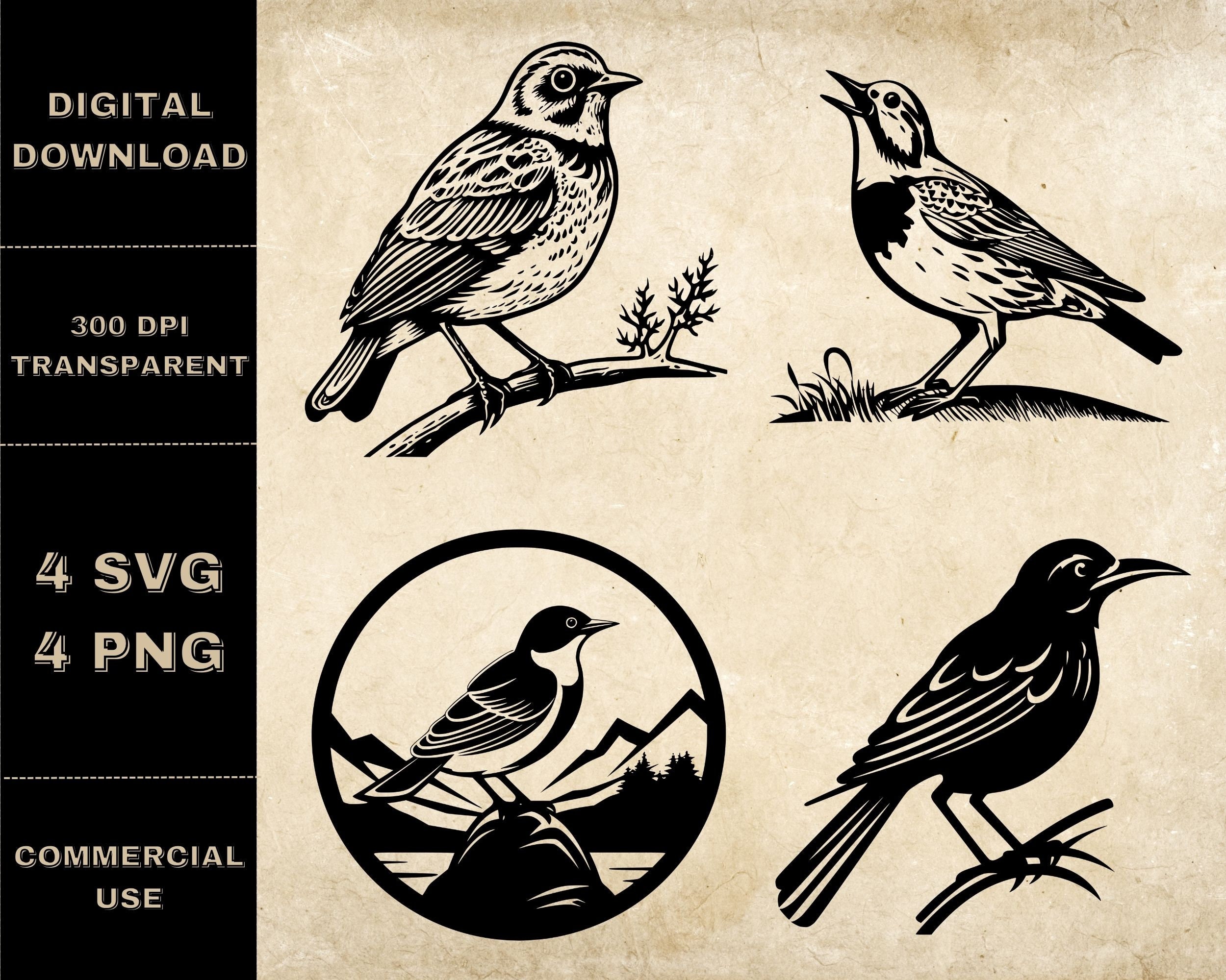 Meadowlark SVG Bundle, PNG, Bird Clipart, Hand Drawn Birds Vector Illustration, SVG Files For Laser Engraving