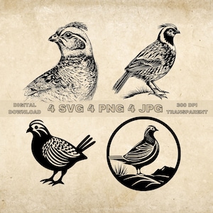 Quail SVG Bundle, PNG, Quail Clipart, Hand Drawn Quail Vector Illustration, SVG Files For Laser Engraving