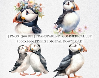 Imágenes Prediseñadas de frailecillo lindo, archivos PNG de frailecillo para sublimación, imágenes prediseñadas de aves y flores tropicales, impresión de frailecillo, arte de pared imprimible, uso comercial