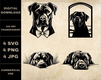 Cane Corso SVG Bundle, PNG, Clipart de chiens mignons, Illustration vectorielle de chien Peeking dessiné à la main, Fichiers SVG pour la gravure au laser