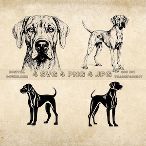 Rhodesian Ridgeback SVG Bundle, PNG, Imágenes Prediseñadas de perros, Ilustración de vector de perro dibujado a mano, Archivos SVG para grabado láser