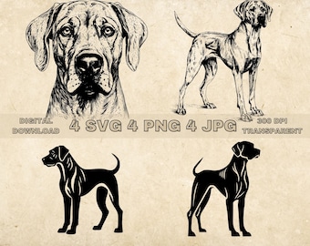 Rhodesian Ridgeback SVG Bundle, PNG, Dogs Clipart, Hand Drawn Dog Vector Illustration, SVG Files For Laser Engraving