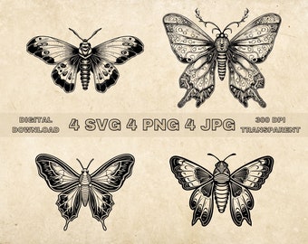 Moth SVG Bundle, PNG, Moth Clipart, Hand Drawn Moths Vector Illustration, SVG Files For Laser Engraving