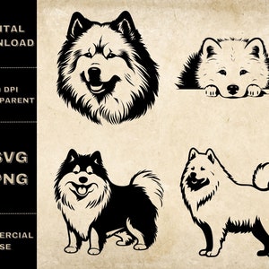 Samoyède SVG Bundle, PNG, Samoyède Clipart, Illustration vectorielle d’amoureux de chien dessiné à la main, fichiers SVG pour la gravure laser