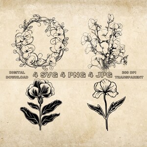 Sweet Pea SVG Bundle, PNG, Floral Clipart, Hand Drawn Flowers Graphic Illustration, SVG Files For Laser Engraving