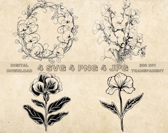 Sweet Pea SVG Bundle, PNG, Clipart floral, Ilustración gráfica de flores dibujadas a mano, Archivos SVG para grabado láser