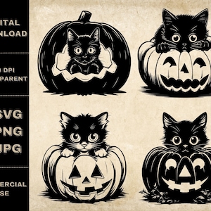 Pumpkin Cat SVG Bundle, PNG, Halloween Clipart, Hand Drawn Kitten Vector Illustration, SVG Files For Laser Engraving