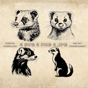 Ferret SVG Bundle, PNG, Ferret Clipart, Hand Drawn Ferrets Vector Illustration, SVG Files For Laser Engraving