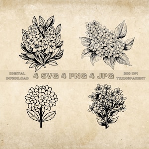 Paquete SVG lila, PNG, imágenes prediseñadas de flores, ilustración gráfica vectorial de lilas dibujadas a mano, archivos SVG para grabado láser
