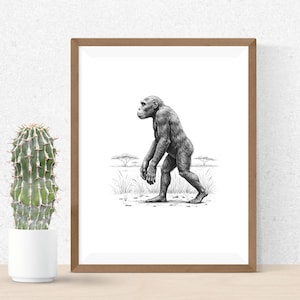 Australopithecus Sketch PNG Sublimation File for Unique Art Projects - Etsy