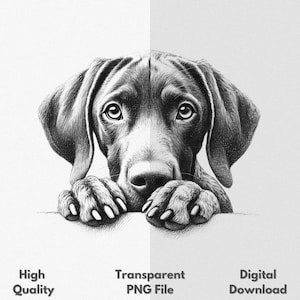 May include: Black and white illustration of a dog's head and paws. The dog is looking down with its nose resting on a surface. The dog's fur is detailed with shading.