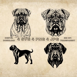 BullMastiff SVG Bundle, PNG, Dogs Clipart, Hand Drawn Dog Vector Illustration, SVG Files For Laser Engraving