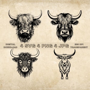 Highland Cow SVG Bundle, PNG, Highland Cow Clipart, Hand Drawn Highland Cow Vector Illustration, SVG Files For Laser Engraving