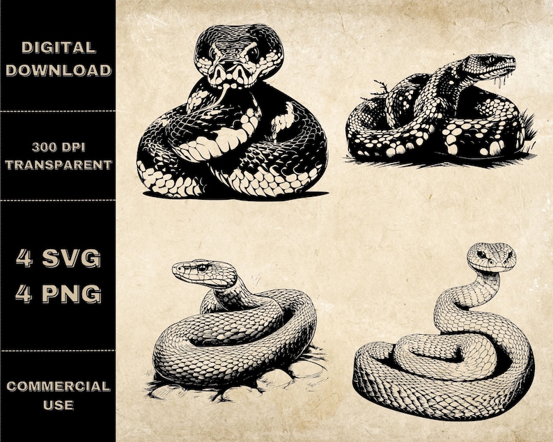 Rattlesnake SVG Bundle, PNG, Snake Clipart, Hand Drawn Snakes Vector ...