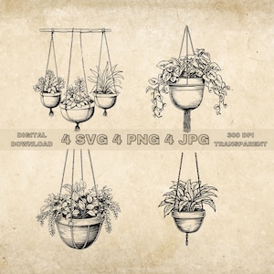 Hanging Plants SVG Bundle, PNG, Plant Hanger Clipart, Hand Drawn Botanical Vector Illustration, SVG Files For Laser Engraving