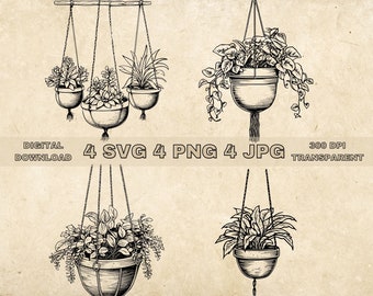 Hanging Plants SVG Bundle, PNG, Plant Hanger Clipart, Hand Drawn Botanical Vector Illustration, SVG Files For Laser Engraving