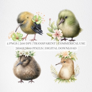 Imágenes Prediseñadas de kiwi, archivos PNG de aves lindas para sublimación, imágenes prediseñadas de aves no voladoras lindas, hermosas impresiones de kiwi, arte de pared imprimible, uso comercial