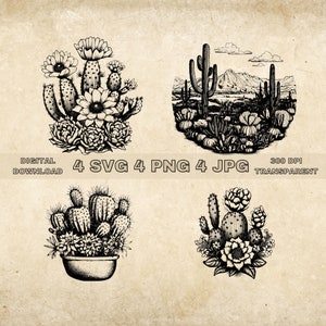 Paquete SVG de cactus, PNG, imágenes prediseñadas temáticas del desierto, ilustración gráfica vectorial de cactus dibujada a mano, archivos SVG para grabado láser