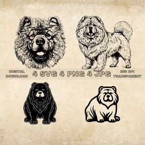 Chow Chow SVG Bundle, PNG, Dogs Clipart, Hand Drawn Dog Vector Illustration, SVG Files For Laser Engraving