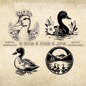 Duck With Flower SVG Bundle, PNG, Duck Scene Clipart, Hand Drawn Ducks Vector Illustration, SVG Files For Laser Engraving