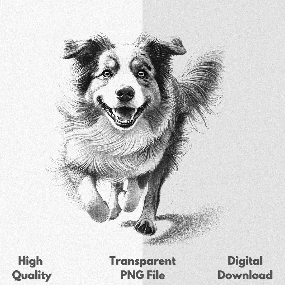 Sheppard Running Vector Australian Shepherd Running PNG Sublimation File for Shirt & Mug Sketch ...