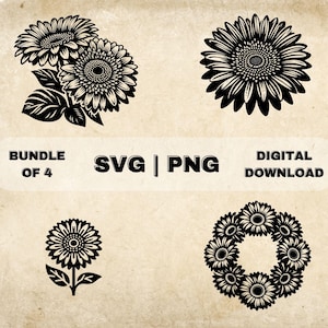 Gerbera SVG Bundle, Flowers Clipart, Hand Drawn Floral Theme Vector Illustration, SVG Files For Laser Engraving & Craft