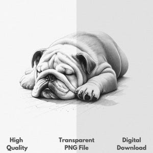 Bulldog Sleeping PNG Sublimation File For Shirt & Mug Sketch Drawing Graphic Digital Download