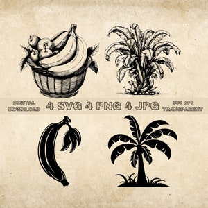 Banana SVG Bundle, PNG, Fruits Clipart, Hand Drawn Banana Vector Illustration, Fichiers SVG pour la gravure au laser