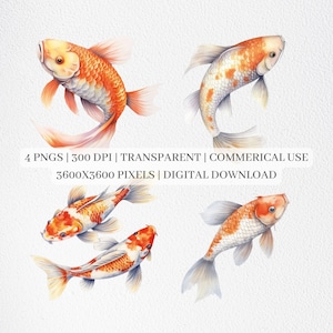 Koi Fish Clipart, Fishes PNG Files For Sublimation, Koi Clip Art, Koi Fishing Prints, Printable Wall Art, Commercial Use