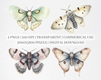 Moth Clipart, Moth PNG Files For Sublimation, Mystical Clip Art, Celestial Moth Prints, Printable Wall Art, Commercial Use