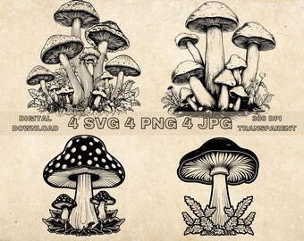 Paquete SVG de setas, PNG, imágenes prediseñadas de setas, ilustración gráfica vectorial de setas dibujadas a mano, archivos SVG para grabado láser