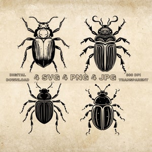 Beetle SVG Bundle, PNG, Insect Clipart, Hand Drawn Bug Vector Illustration, SVG Files For Laser Engraving