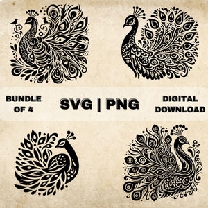 Peacock SVG Bundle, Floral Bird Clipart, Illustration vectorielle sur le thème des paons dessinés à la main, fichiers SVG pour la gravure laser et l’artisanat
