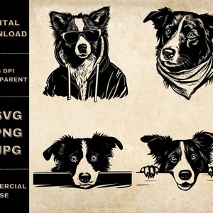 Border Collie SVG Bundle, PNG, Funny Dog Clipart, Hand Drawn Peeking Dog Vector Illustration, SVG Files For Laser Engraving