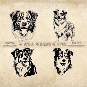 Australian Shepherd SVG Bundle, PNG, Dogs Clipart, Hand Drawn Dog Vector Illustration, SVG Files For Laser Engraving