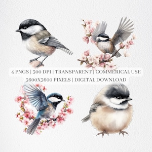 Chickadee Clipart, Chickadee PNG, Cute Birds Clip Art, Nursery Decor, Digital Paper Craft  Instant Download For Commercial Use