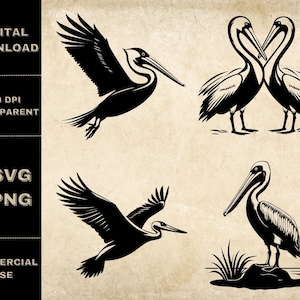 Pelikan SVG Bundle, PNG, Pelikan Clipart, handgezeichnete fliegende Pelikane Vektor Illustration, SVG-Dateien für die Lasergravur