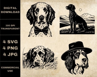 Paquete SVG de Setter inglés, PNG, imágenes prediseñadas de perros lindos, ilustración de vectores de perros dibujados a mano, archivos SVG para grabado láser