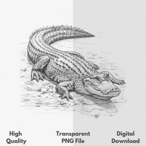 Alligator PNG for Shirts Sublimation Digital Download